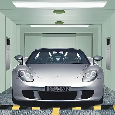 Ascenseur de voiture FUJI du centre commercial 3000kg